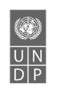 undp-logo