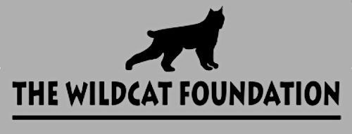 Wildcat Foundation