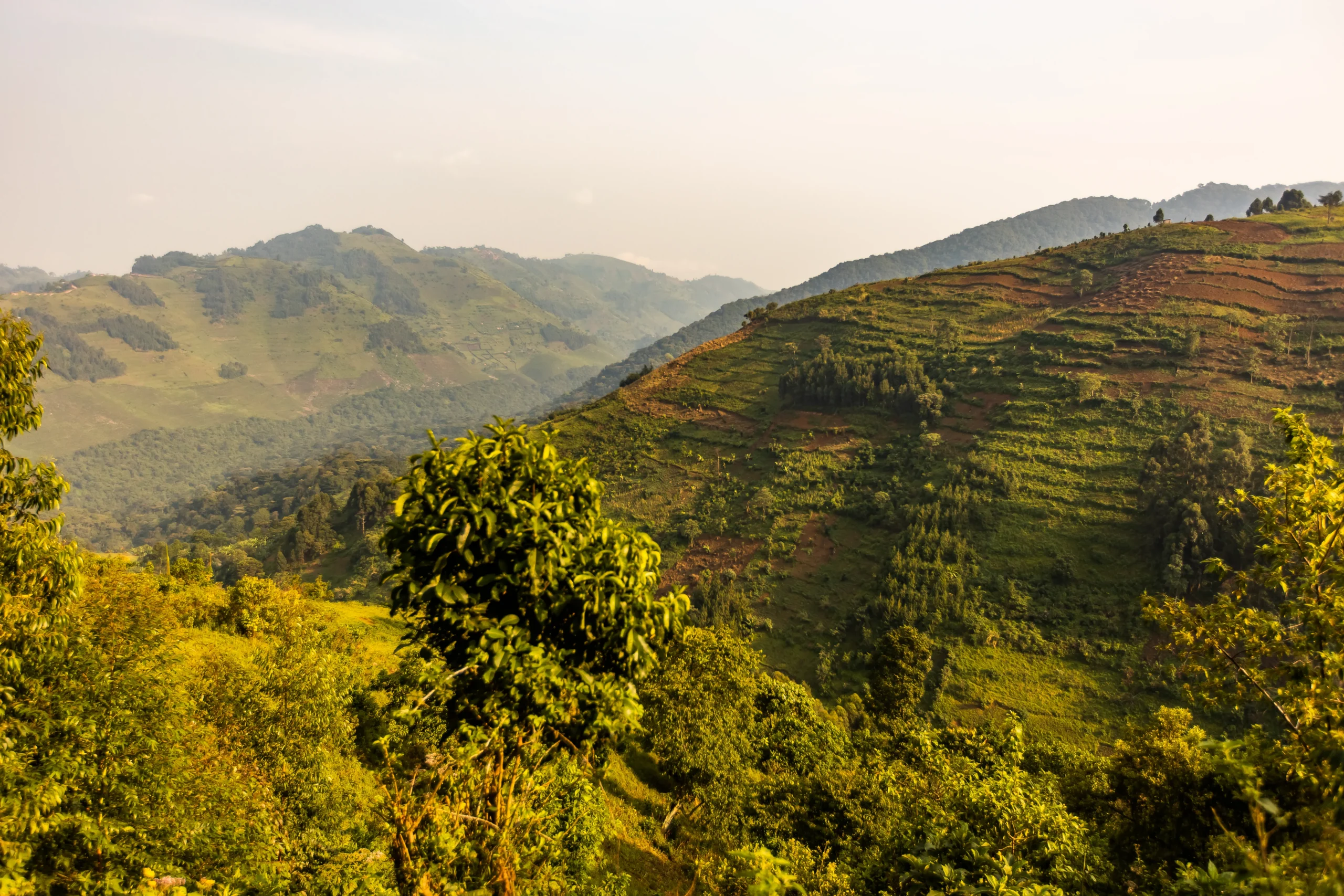 ugandan-environment